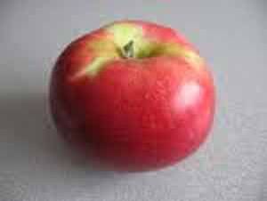 Fruit Malus domestica (Akane Apple (Dwarf))