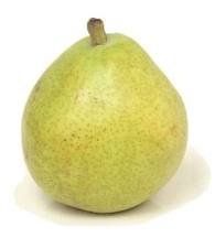 Fruit Pyrus Communis (Anjou Pear)